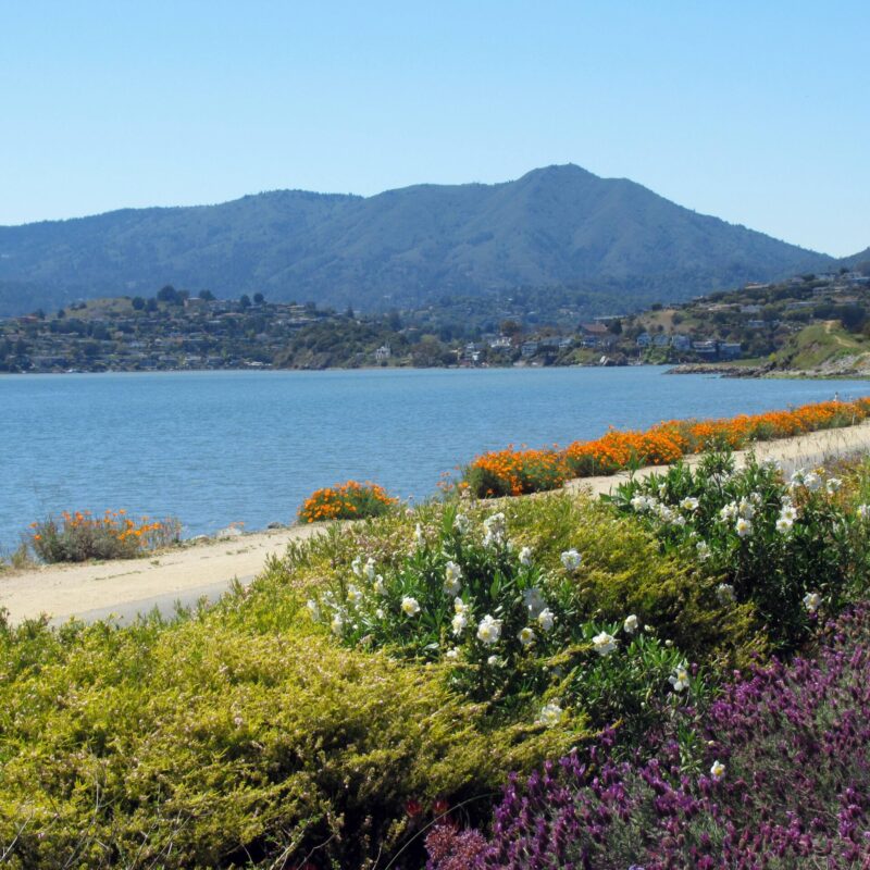 Mt Tamalpais and Marin