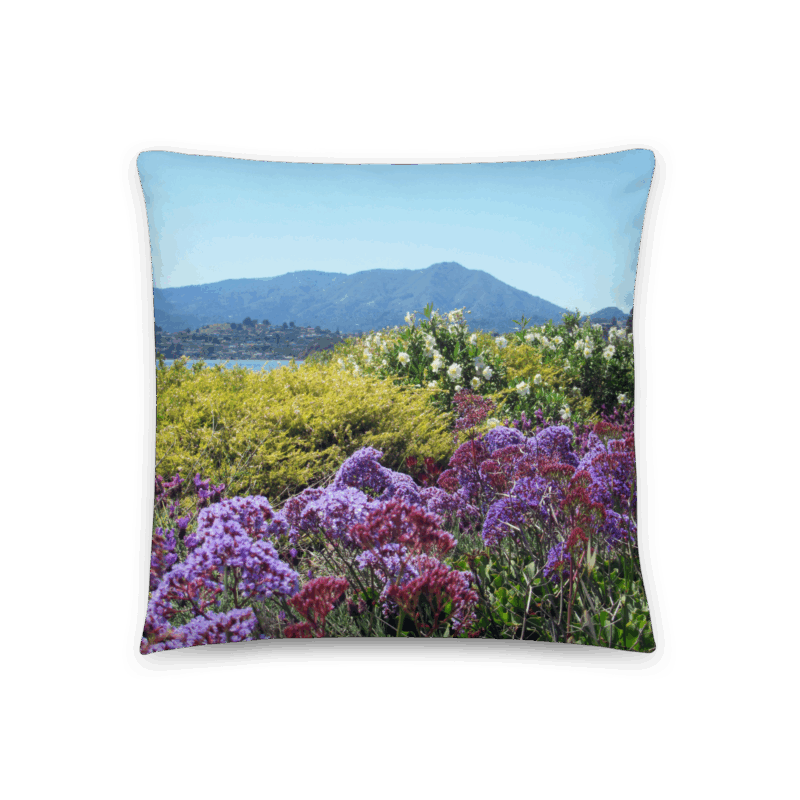 Throw Pillows