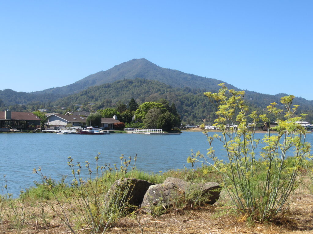Calm blue water sparkles in the foreground with a view of a small town along its shores, backed by a lush green mountain under a clear blue sky. Wildflowers and rocks dot the shoreline in the foreground, adding a touch of nature to the tranquil scene.