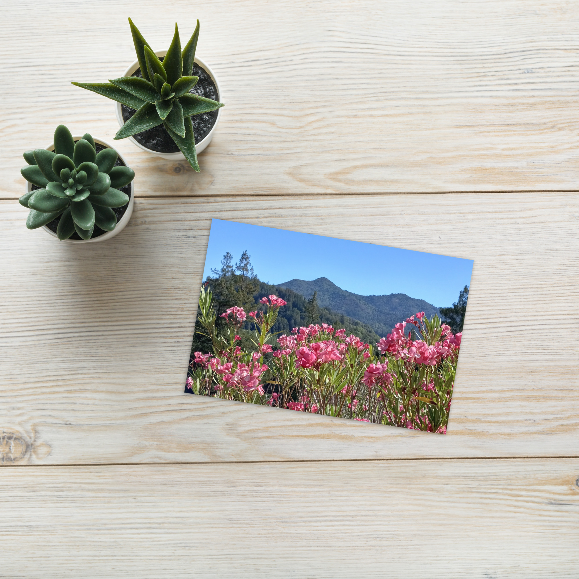 Greeting card Mt Tamalpais Pink Flowers - Image 2