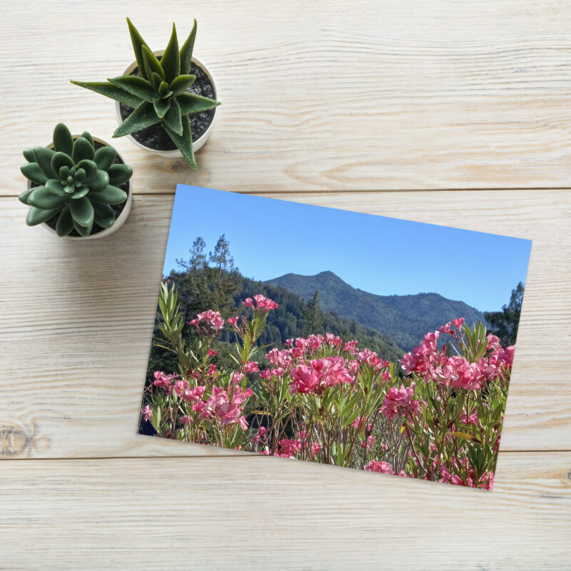 Greeting card Mt Tamalpais Pink Flowers