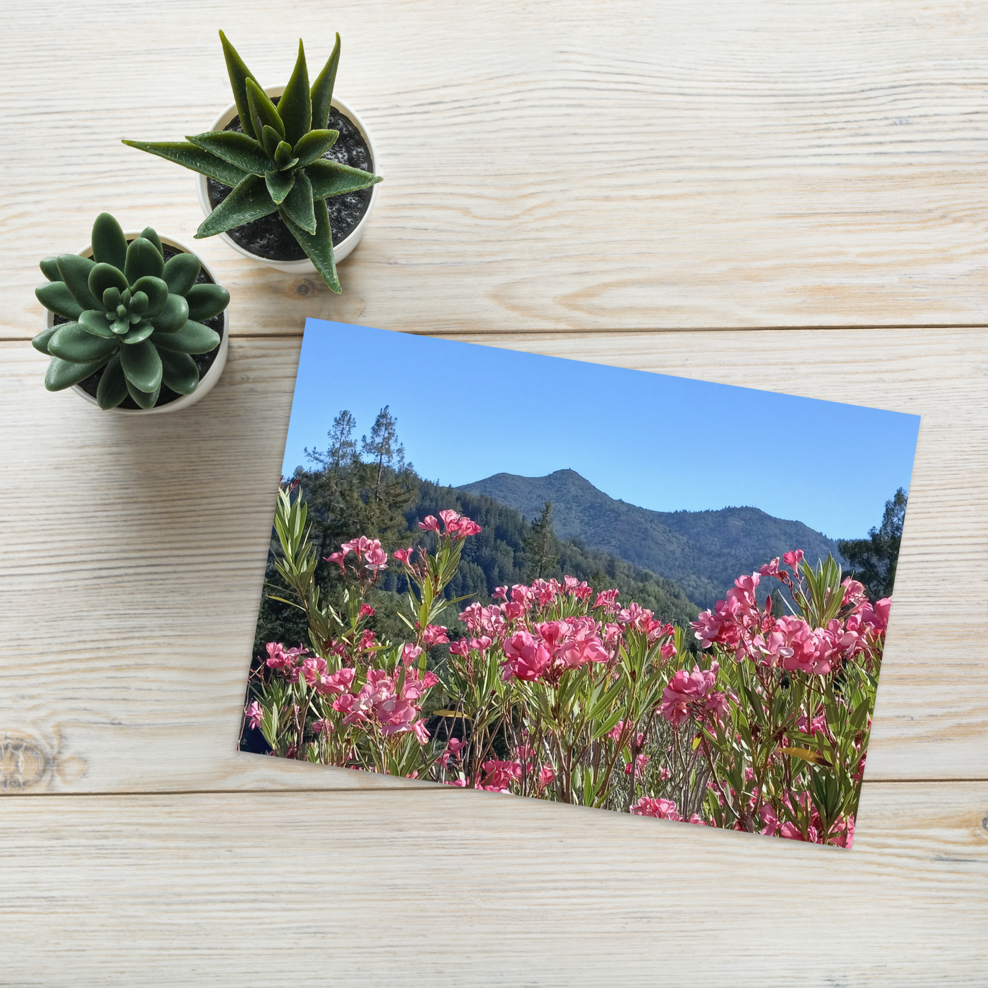 Greeting card Mt Tamalpais Pink Flowers