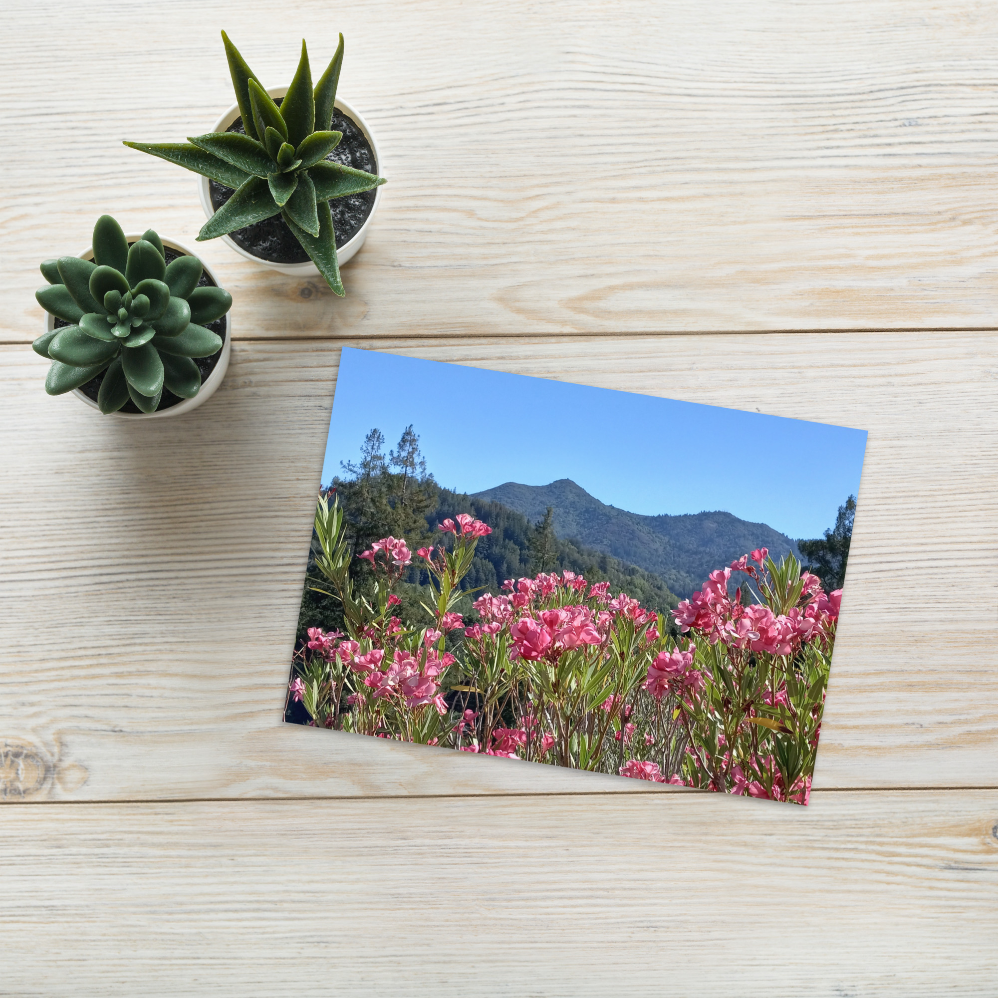 Greeting card Mt Tamalpais Pink Flowers - Image 3