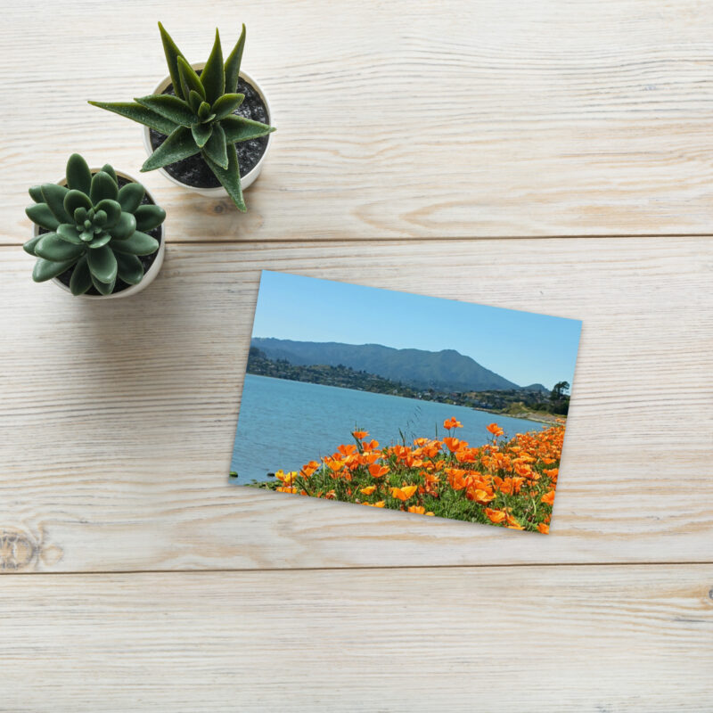 Standard Postcard Mt Tamalpais California Poppies from Tiburon