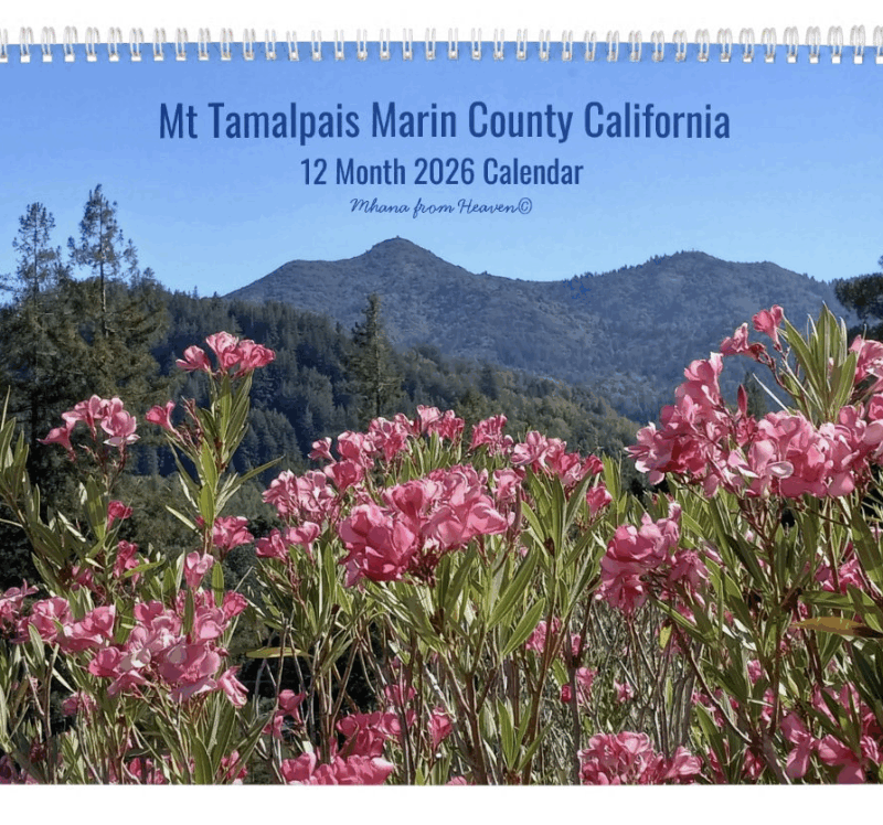 2026 Calendar Mt Tamalpais California 1 🌟