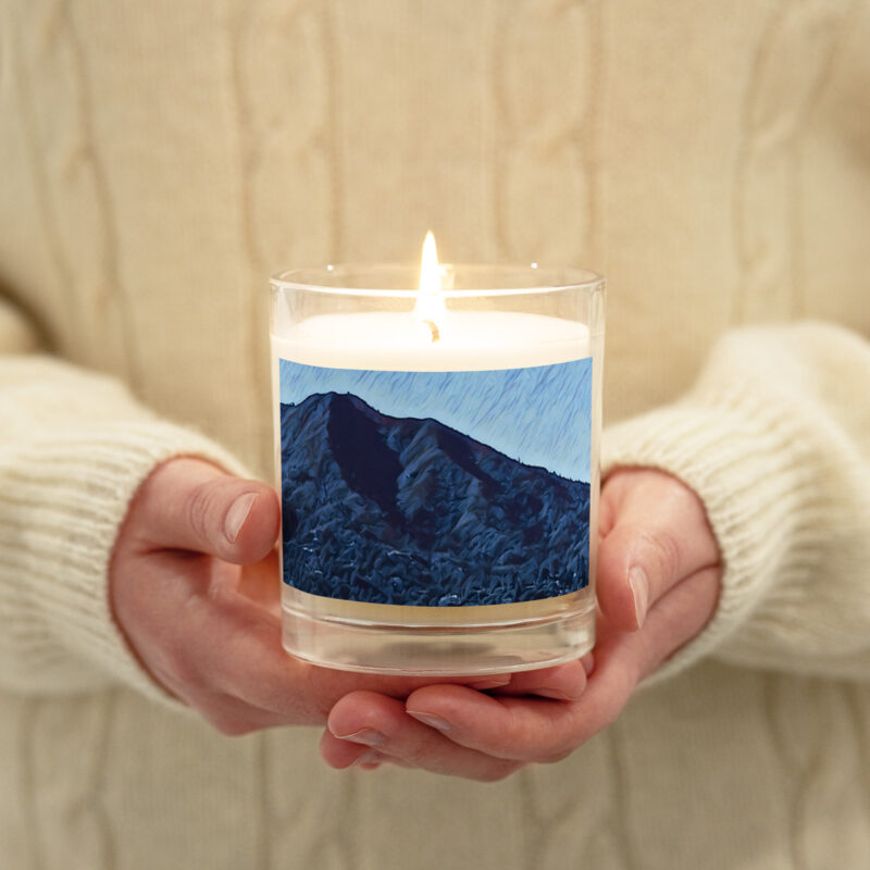Glass jar soy wax candle Mt Tamalpais Brush