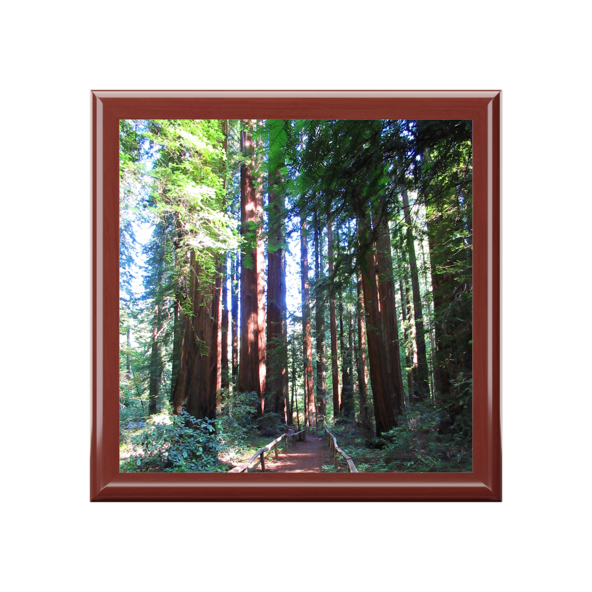 Jewelry Box California Redwood Trail - Select from 3 wood colors - Made in USA - Image 7