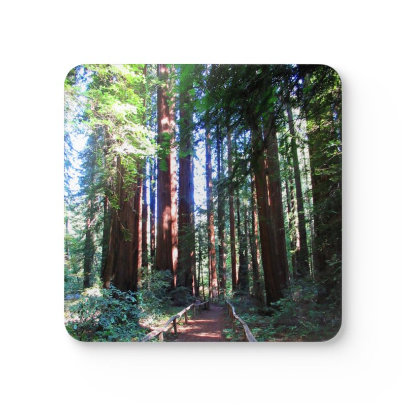 Corkwood Coaster (Set of 4) California Redwood Trail Richardson Grove Humboldt County - Made in USA