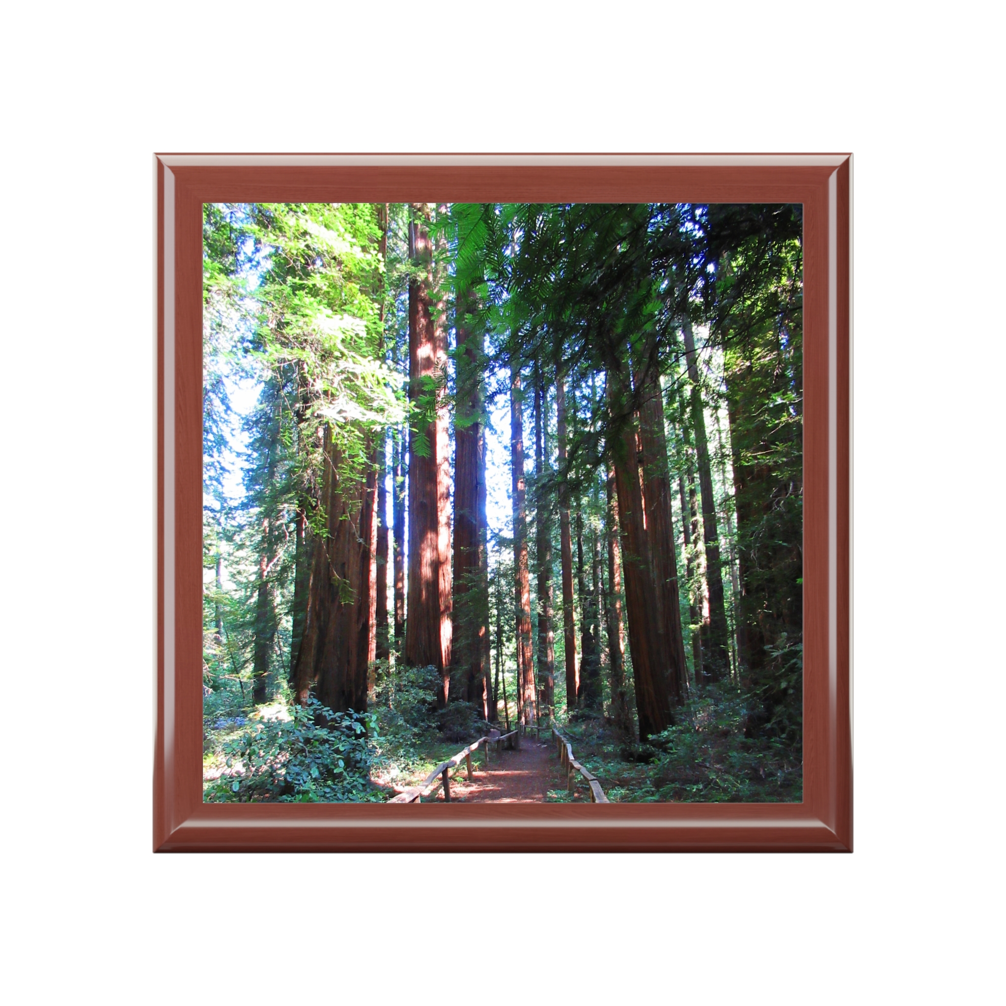 Jewelry Box California Redwood Trail - Select from 3 wood colors - Made in USA - Image 4