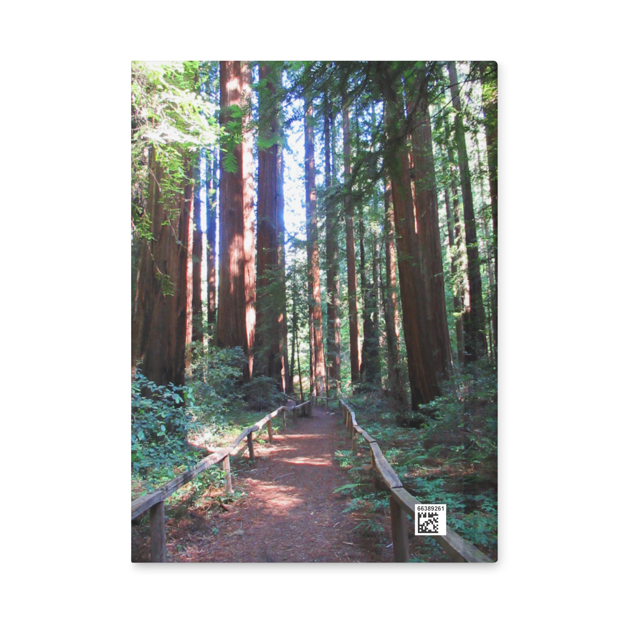 Hardcover journal matte California Redwood Trail - Made in USA - Image 3