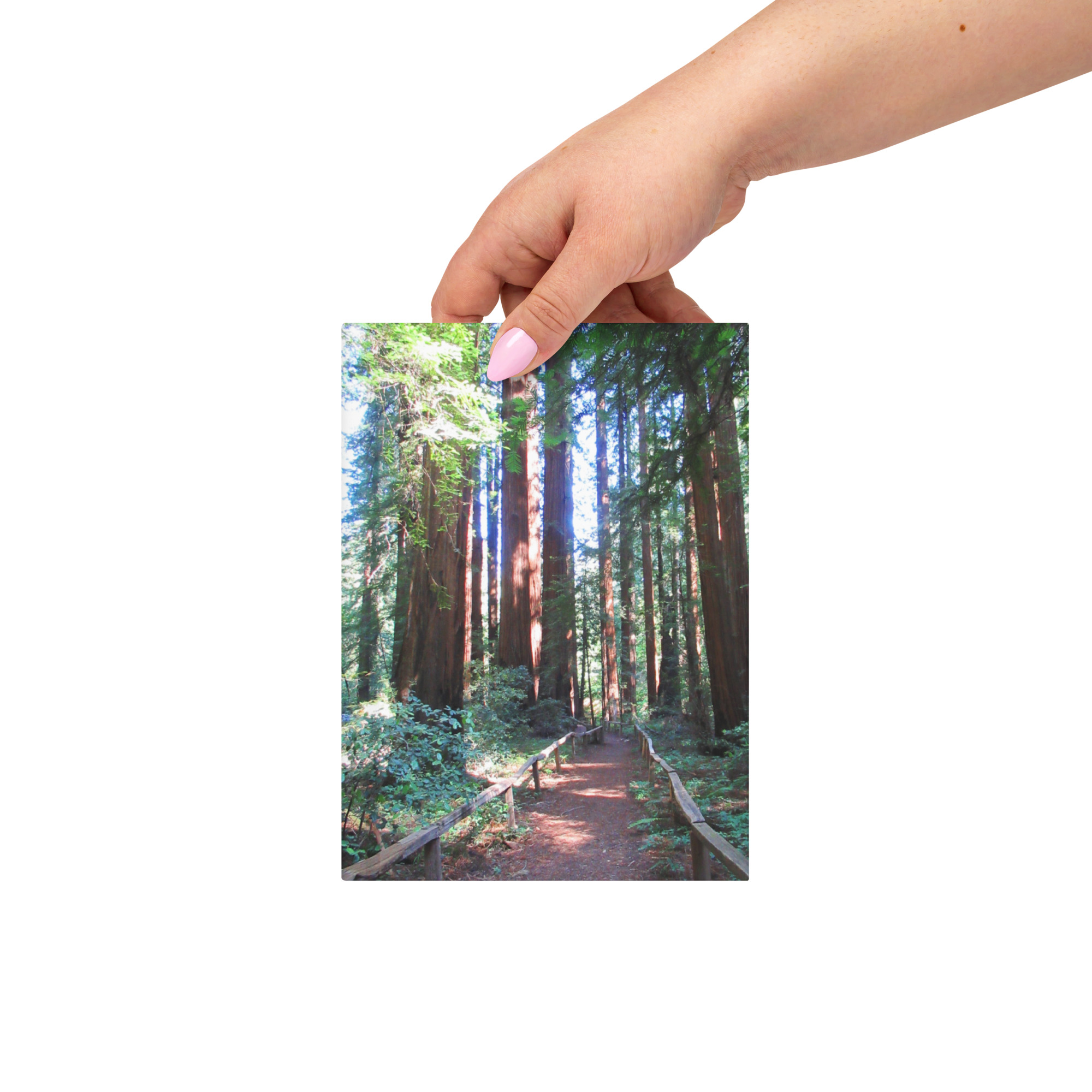 Hardcover journal matte California Redwood Trail - Made in USA - Image 6