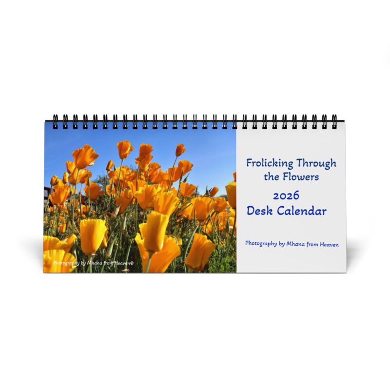 2026 Desk Calendar - Frolicking Through the Flowers - Made in USA