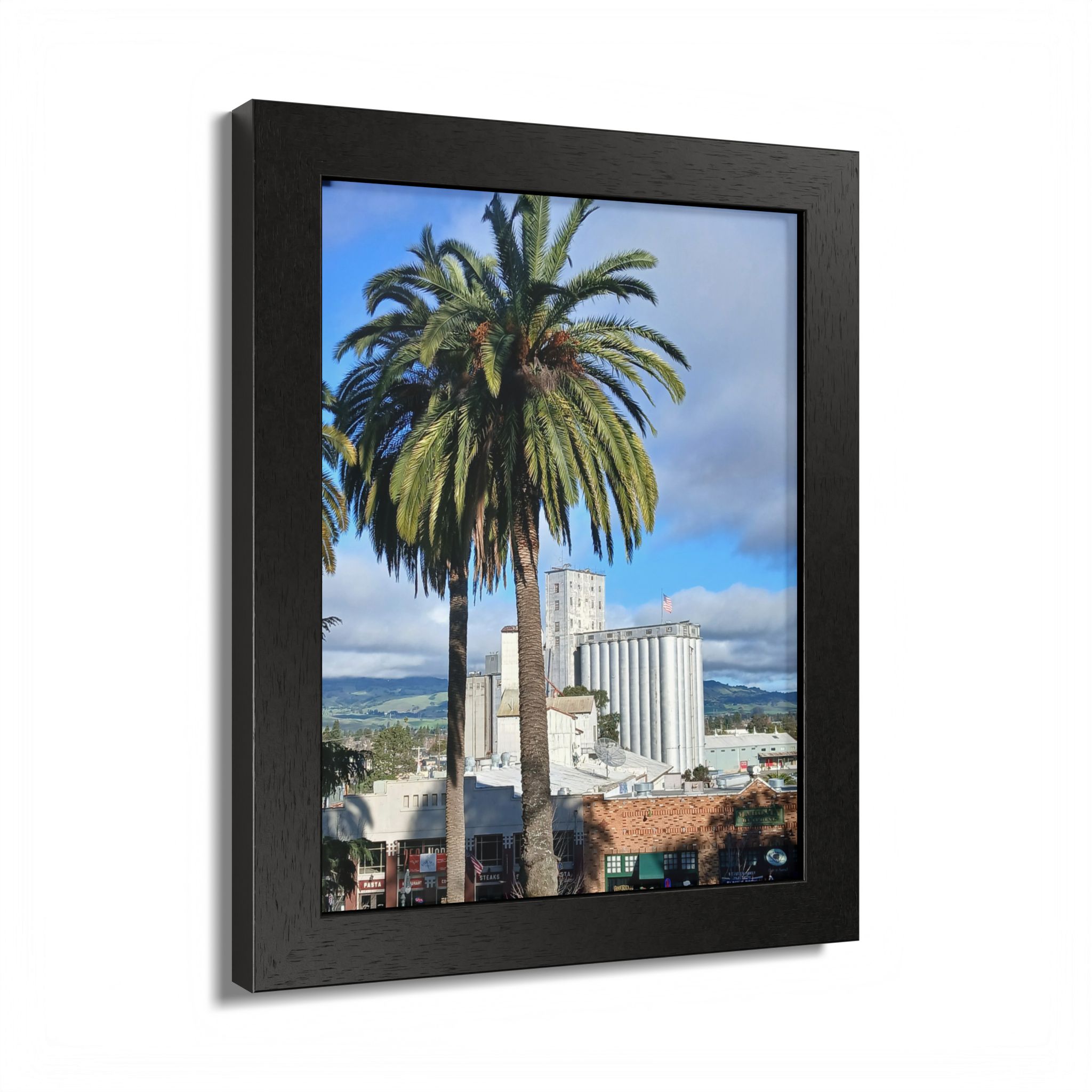 Petaluma Old Mill Tower Palm Tree Penry Park California - select finish - Made in USA - PFY - Image 8
