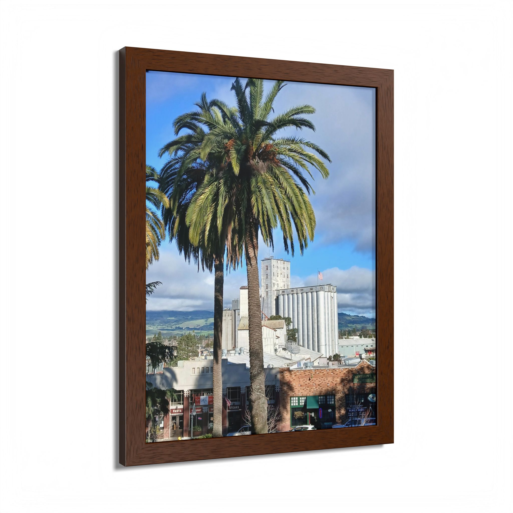 Petaluma Old Mill Tower Palm Tree Penry Park California - select finish - Made in USA - PFY - Image 11