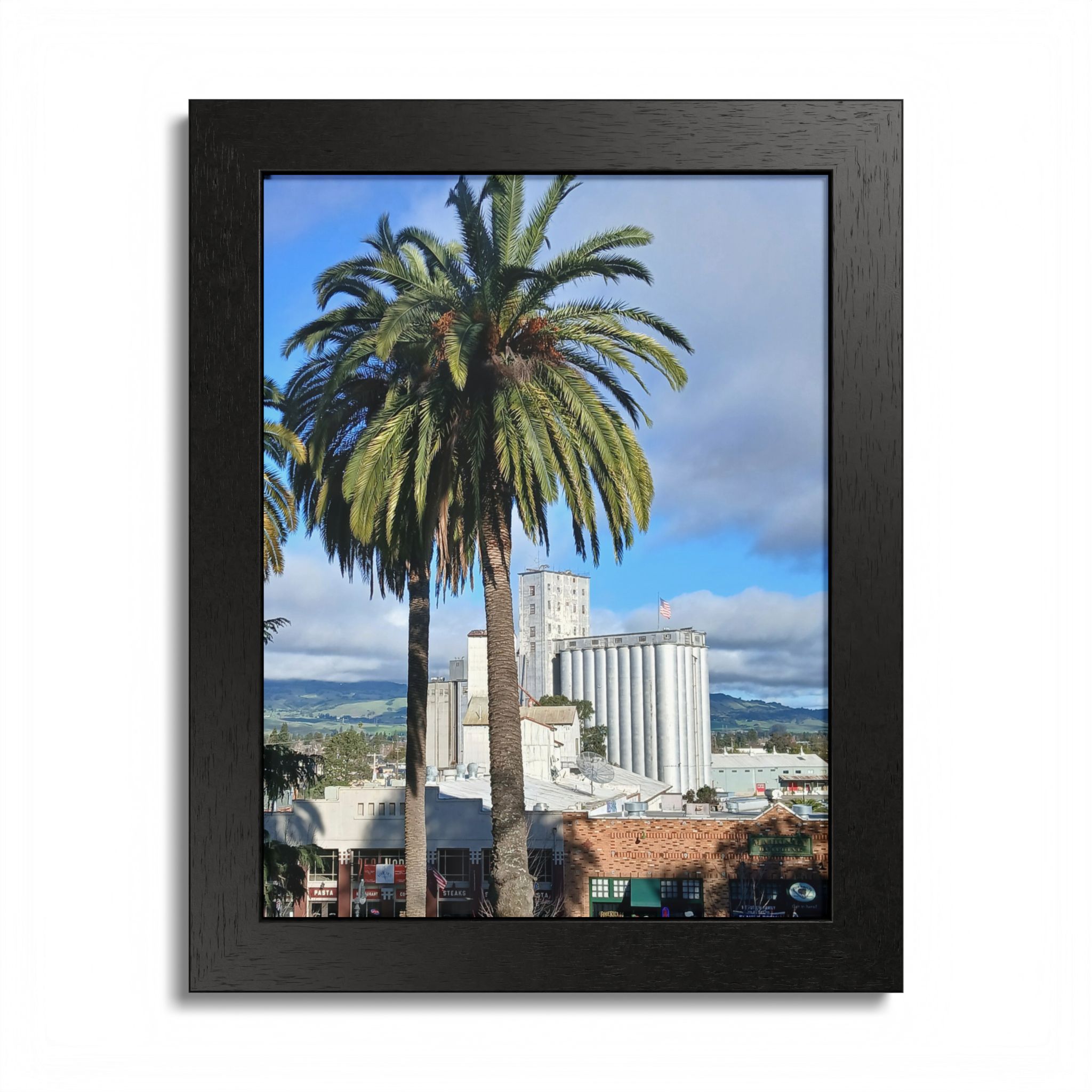 Petaluma Old Mill Tower Palm Tree Penry Park California - select finish - Made in USA - PFY - Image 7