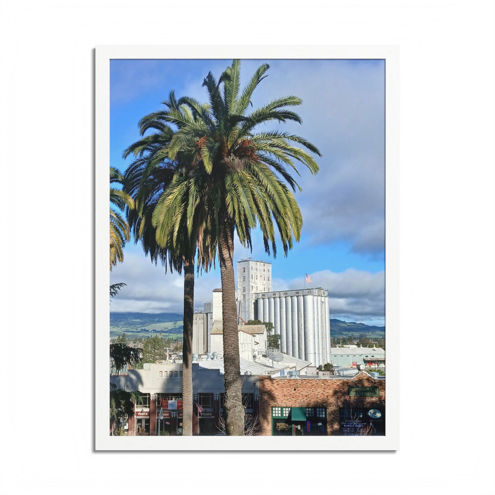 Petaluma Old Mill Tower Palm Tree Penry Park California - select finish - Made in USA - PFY - Image 19