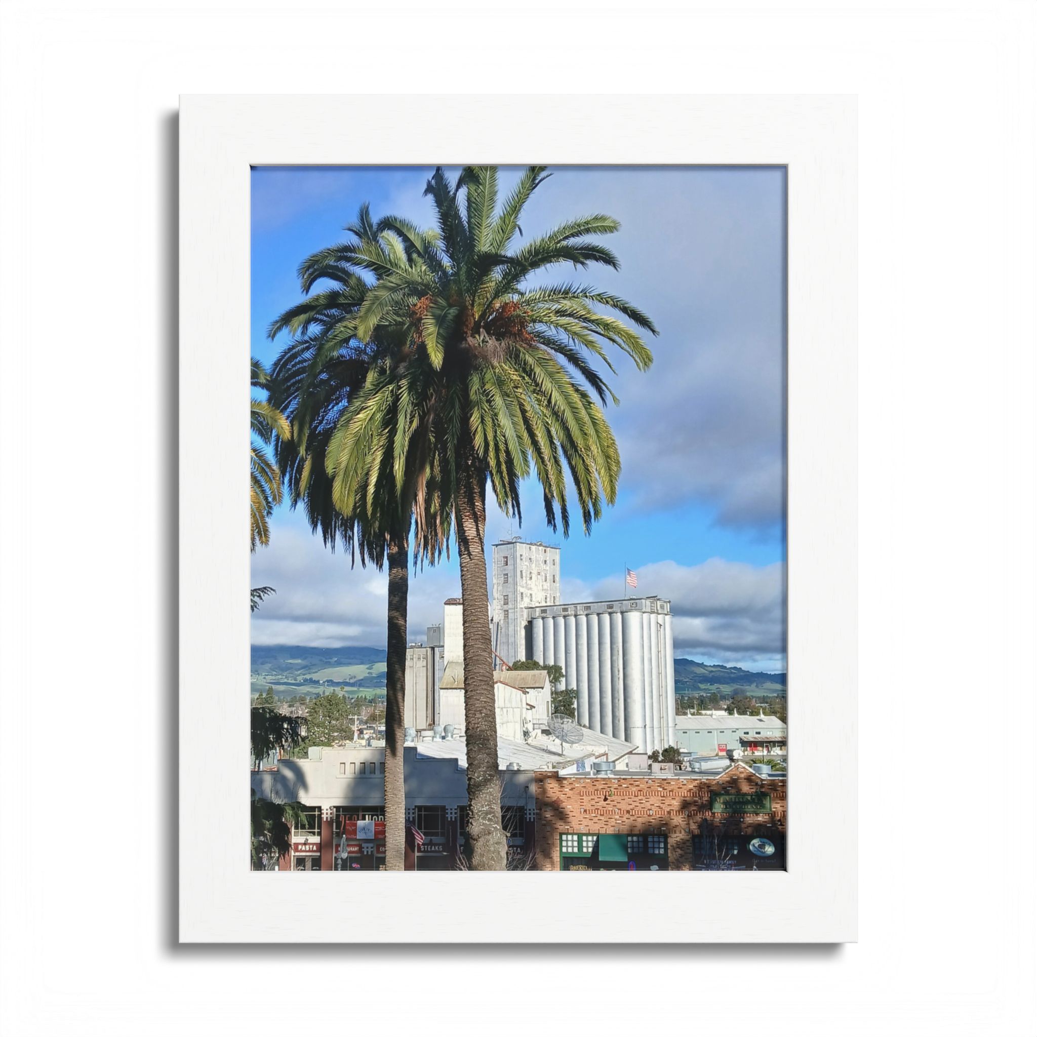 Petaluma Old Mill Tower Palm Tree Penry Park California - select finish - Made in USA - PFY - Image 4