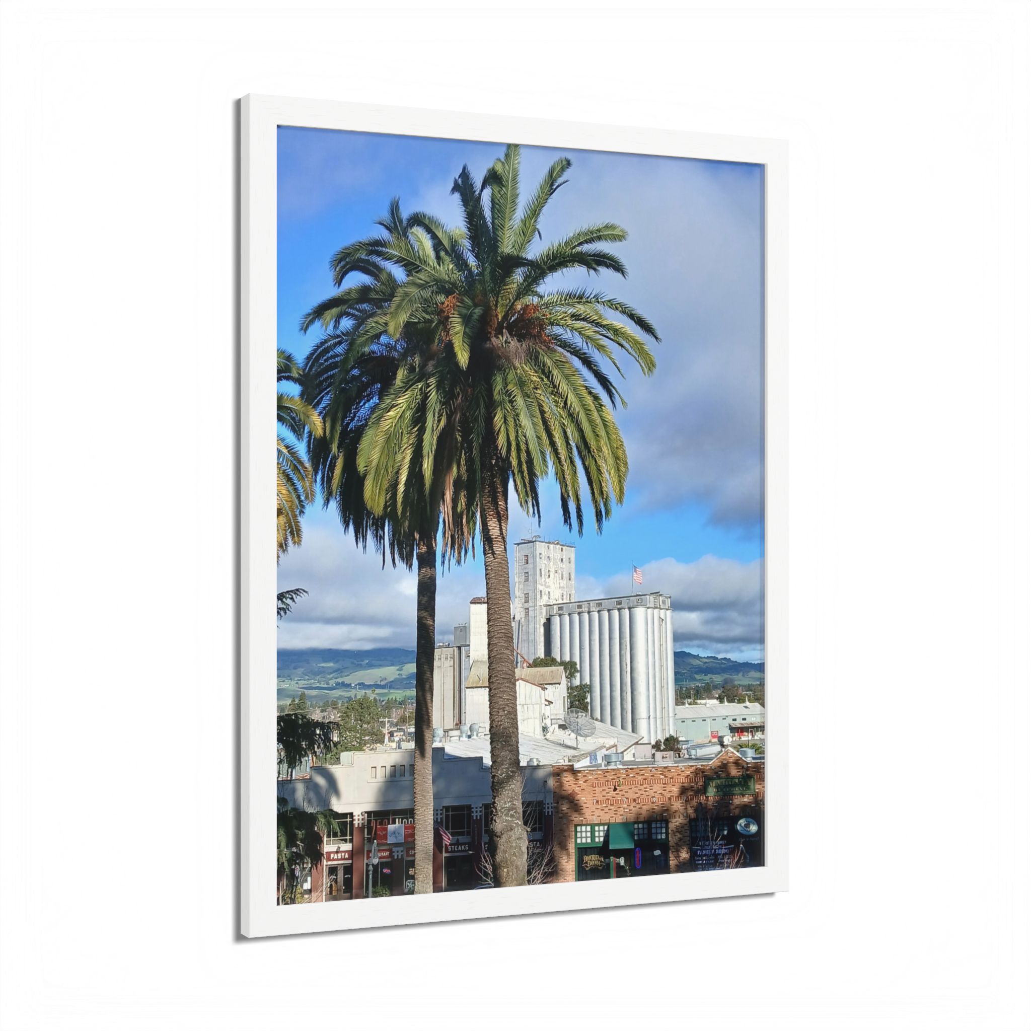 Petaluma Old Mill Tower Palm Tree Penry Park California - select finish - Made in USA - PFY - Image 20