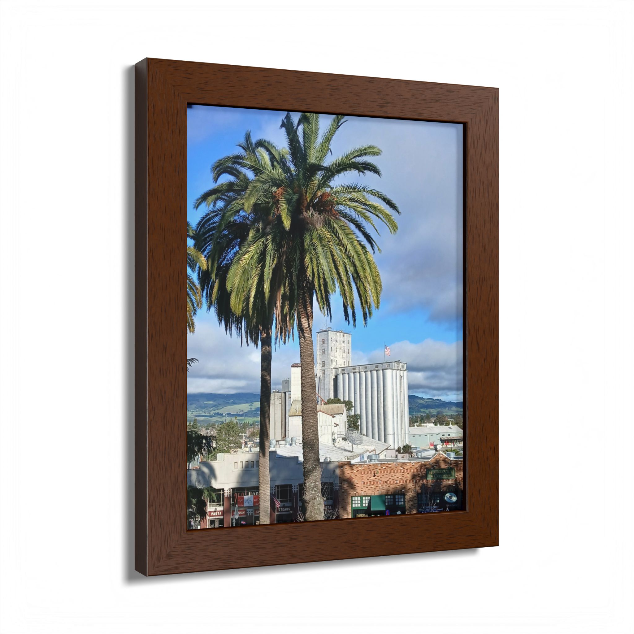 Petaluma Old Mill Tower Palm Tree Penry Park California - select finish - Made in USA - PFY - Image 2