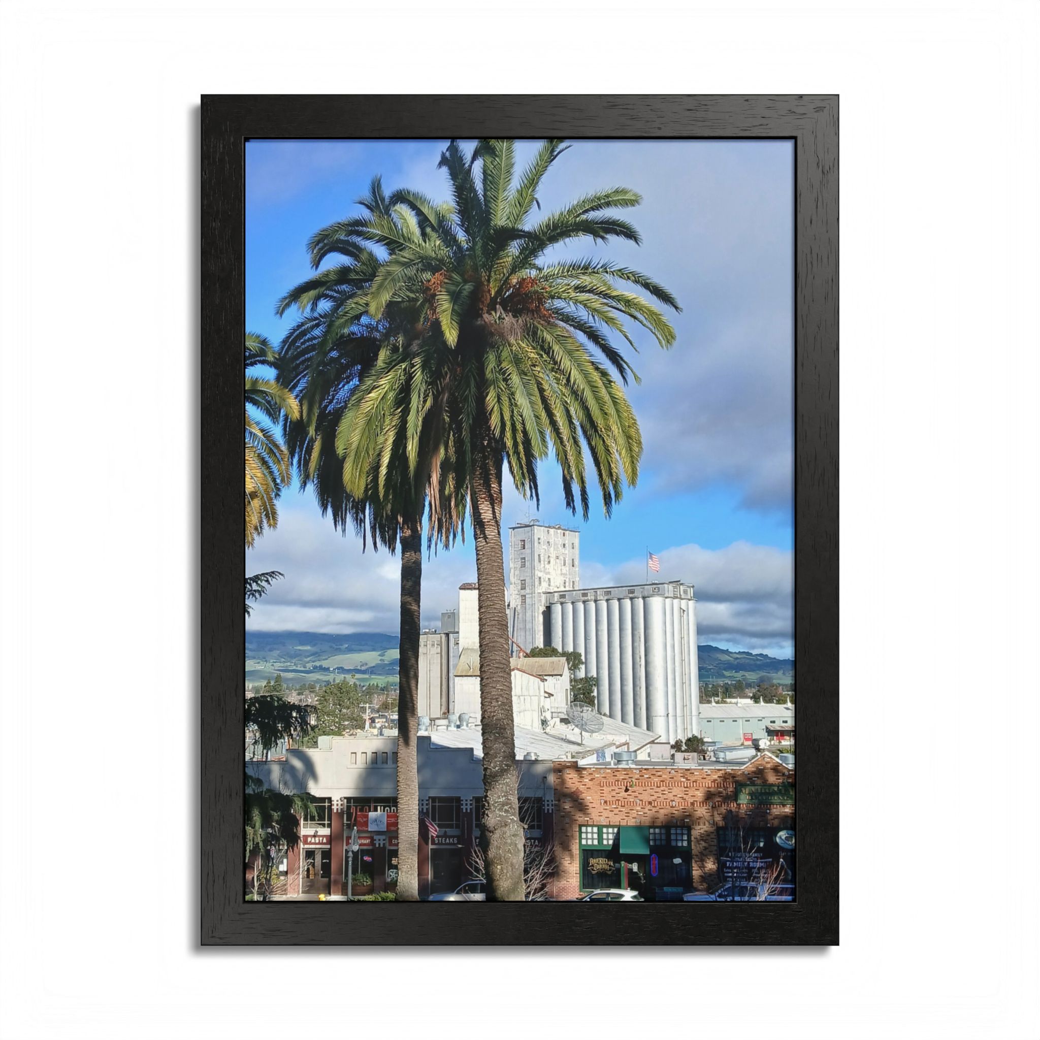 Petaluma Old Mill Tower Palm Tree Penry Park California - select finish - Made in USA - PFY - Image 13