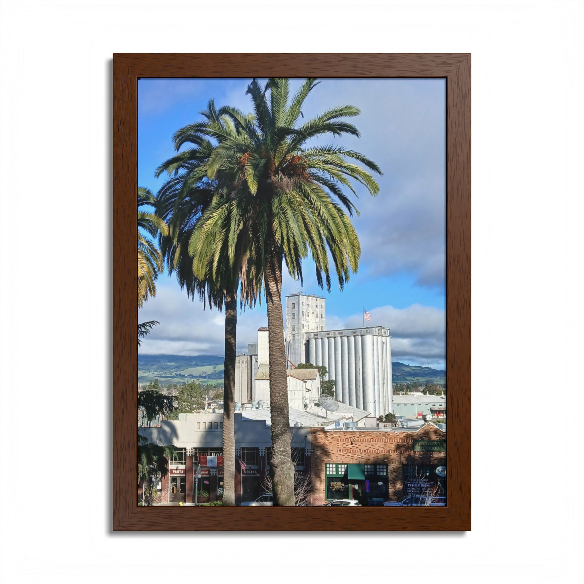 Petaluma Old Mill Tower Palm Tree Penry Park California - select finish - Made in USA - PFY - Image 10