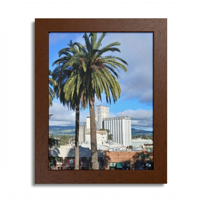 Petaluma Old Mill Tower Palm Tree Penry Park California - select finish - Made in USA - PFY