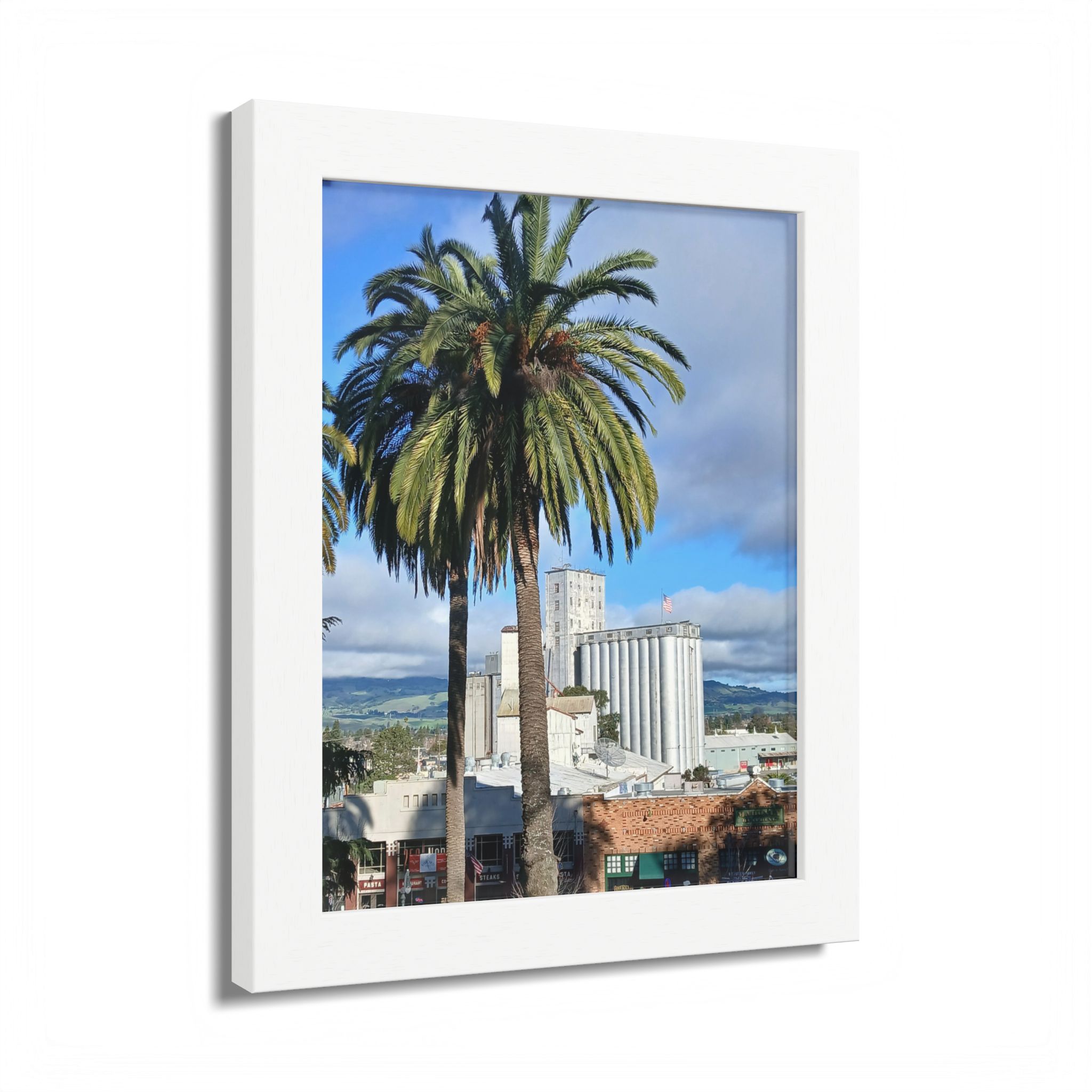 Petaluma Old Mill Tower Palm Tree Penry Park California - select finish - Made in USA - PFY - Image 5