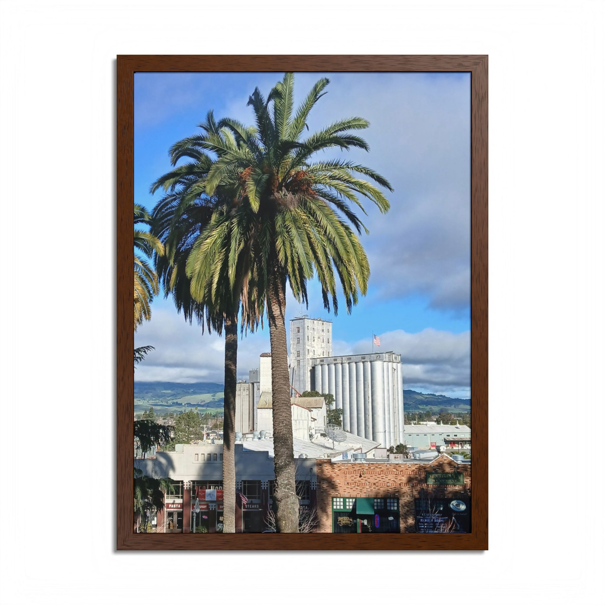 Petaluma Old Mill Tower Palm Tree Penry Park California - select finish - Made in USA - PFY - Image 16