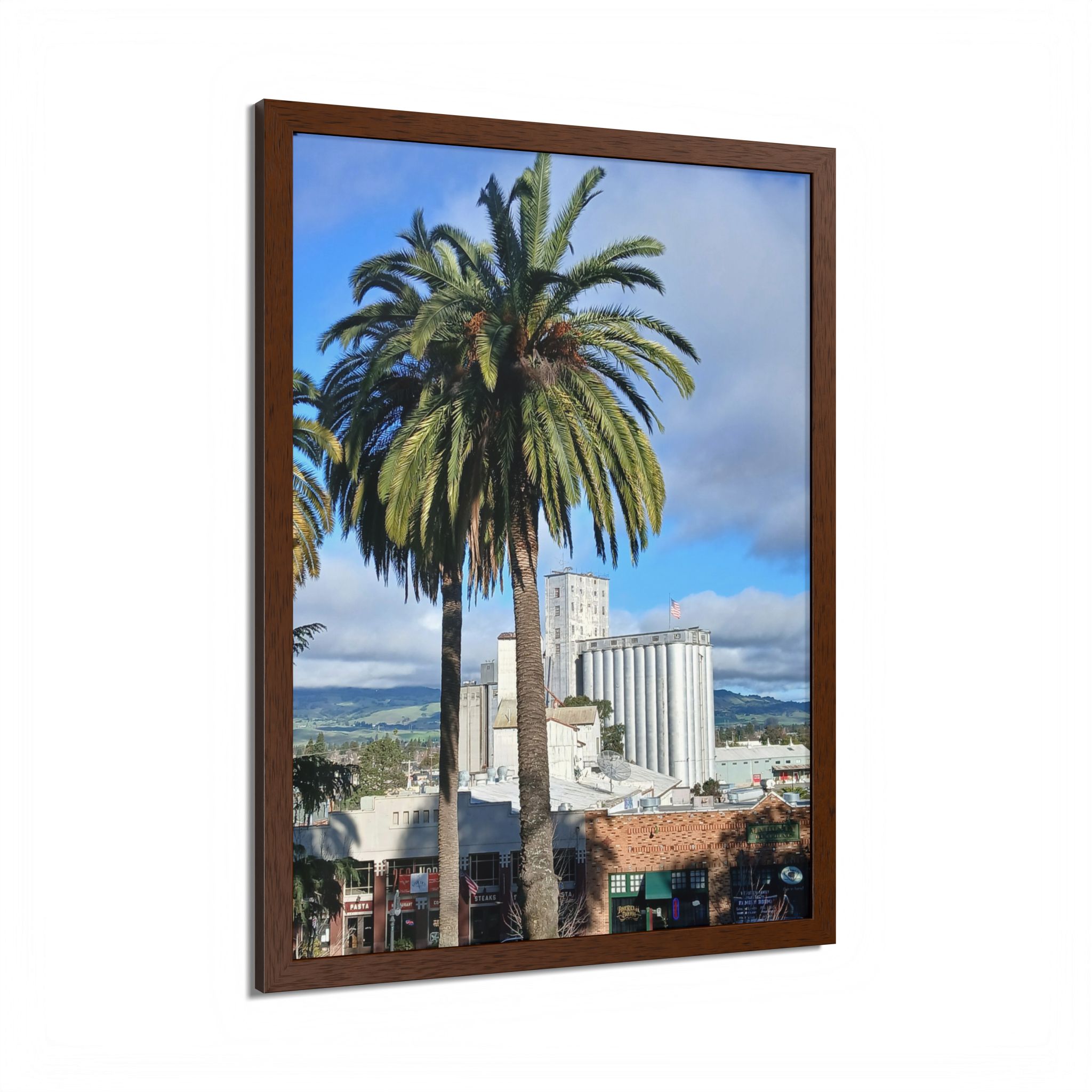 Petaluma Old Mill Tower Palm Tree Penry Park California - select finish - Made in USA - PFY - Image 17