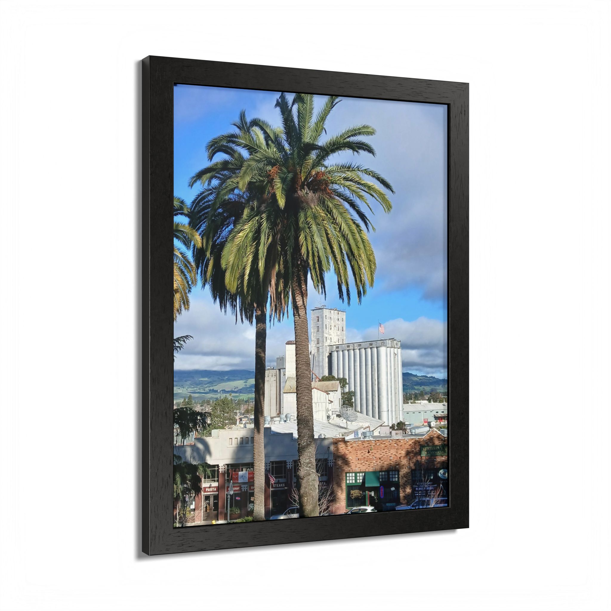 Petaluma Old Mill Tower Palm Tree Penry Park California - select finish - Made in USA - PFY - Image 14