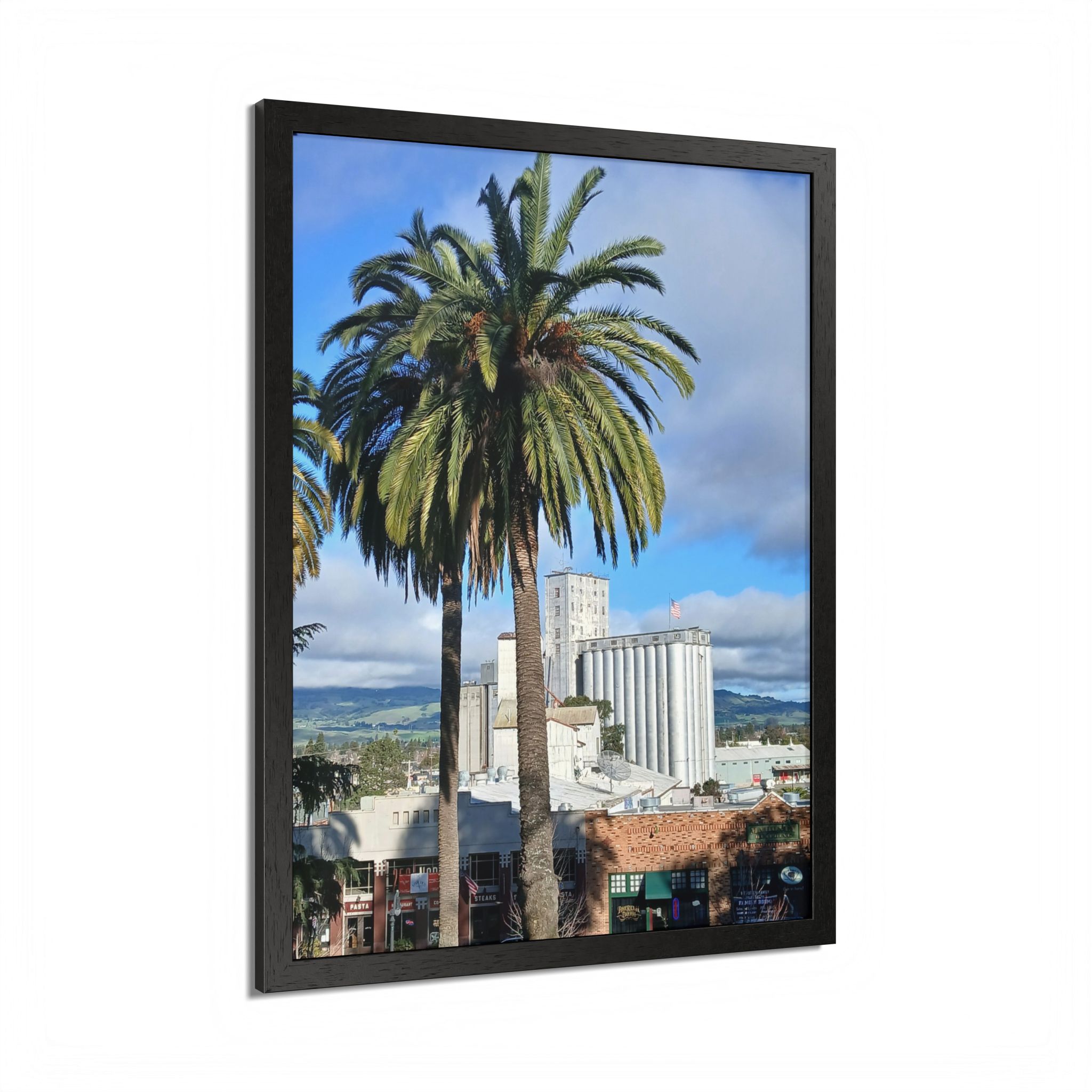 Petaluma Old Mill Tower Palm Tree Penry Park California - select finish - Made in USA - PFY - Image 23