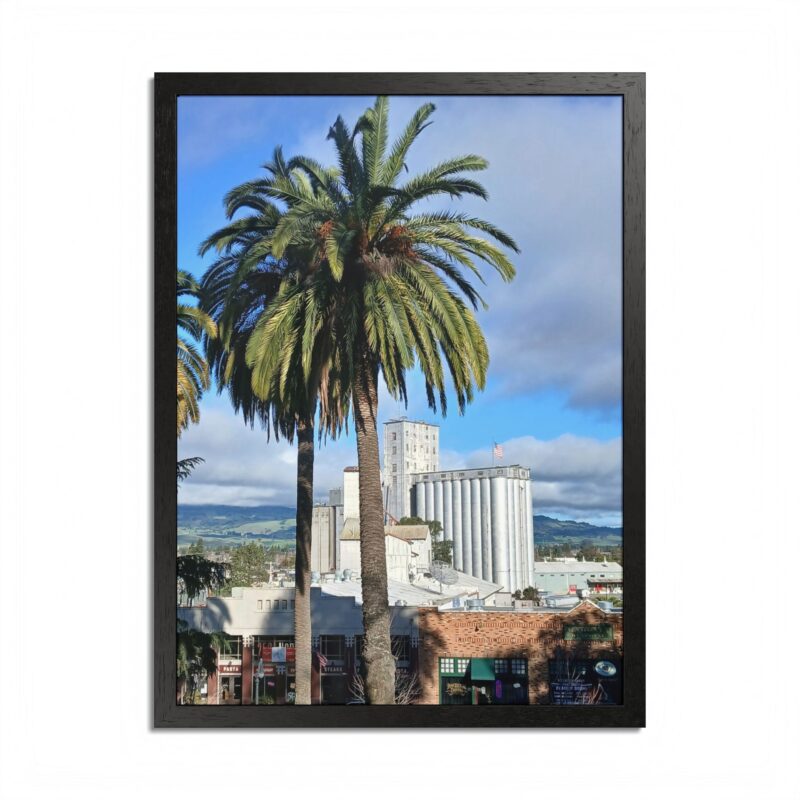 Petaluma Old Mill Tower Palm Tree Penry Park California - select finish - Made in USA - PFY