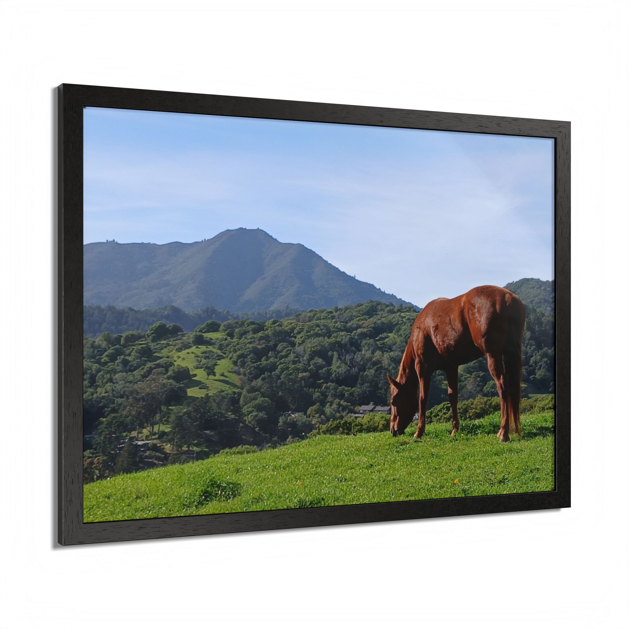 Horse Hill 2 Mill Valley California - select finish - Made in USA - PFY - Image 10