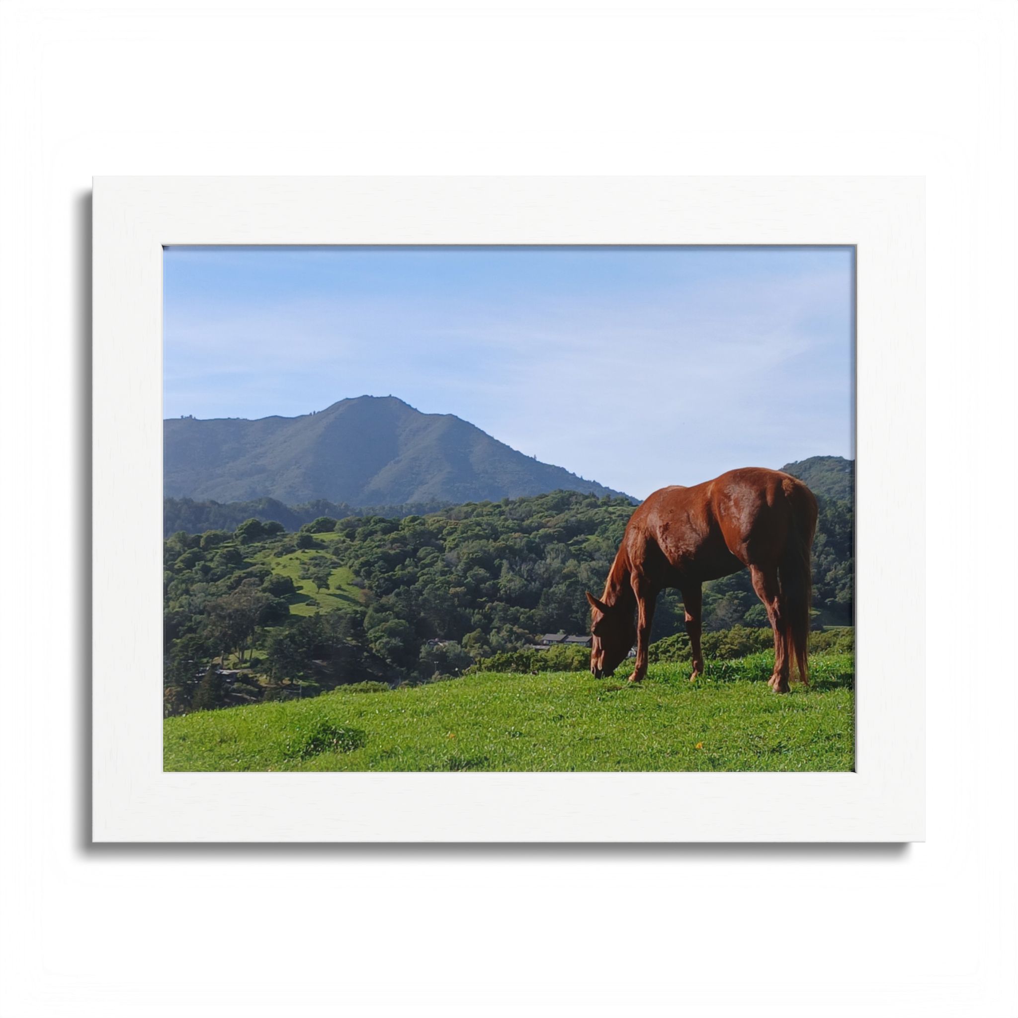 Horse Hill 2 Mill Valley California - select finish - Made in USA - PFY - Image 13