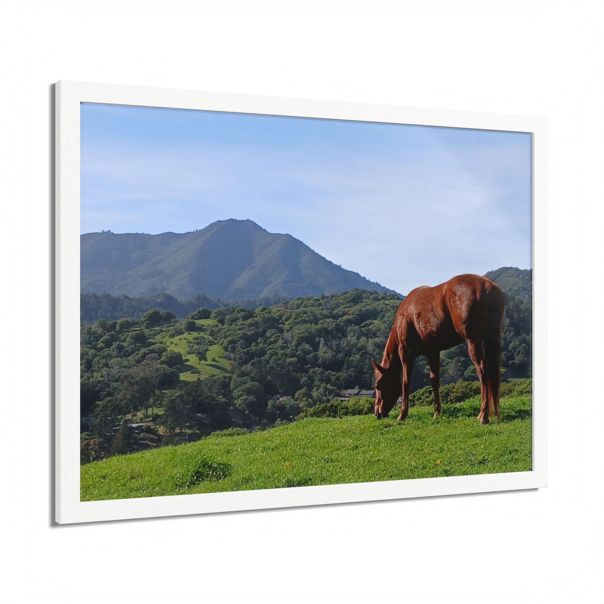 Horse Hill 2 Mill Valley California - select finish - Made in USA - PFY