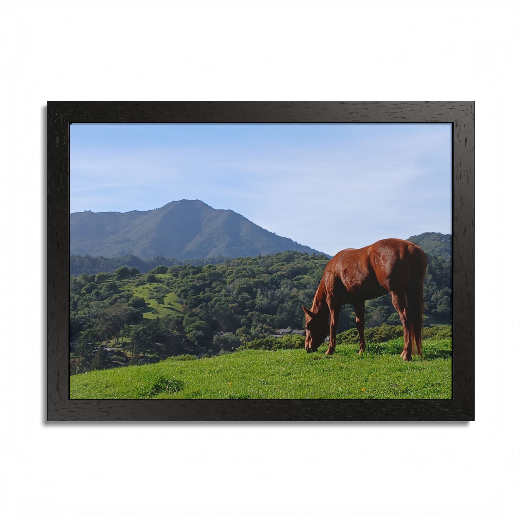 Horse Hill 2 Mill Valley California - select finish - Made in USA - PFY - Image 5