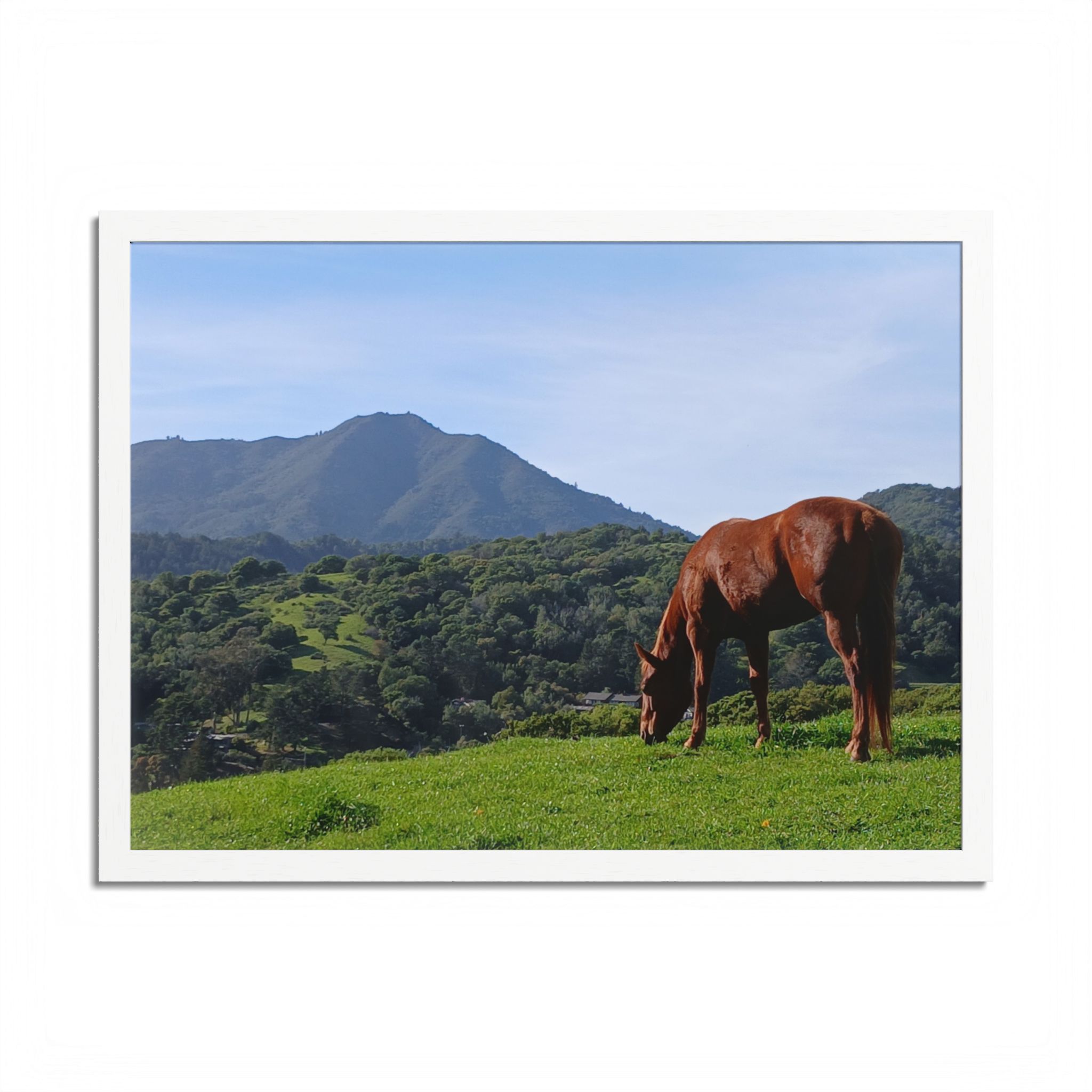 Horse Hill 2 Mill Valley California - select finish - Made in USA - PFY - Image 2