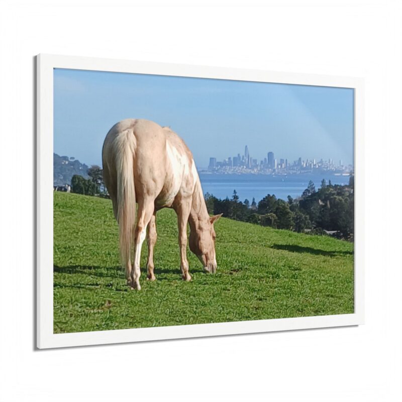 Horse Hill Mill Valley San Francisco California Skyline - select finish - Made in USA - PFY