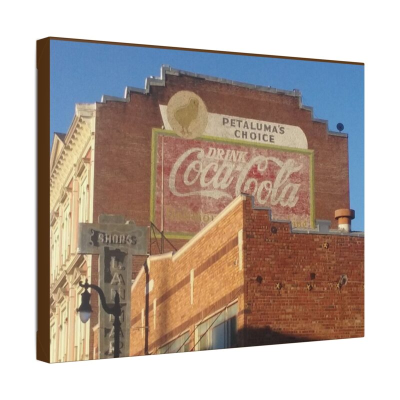 Petaluma's Choice Vintage Sign - Canvas Wall Art