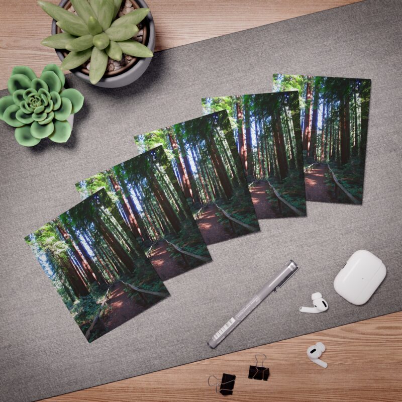 California Redwood Trail Forest Greeting Cards (5-Pack)