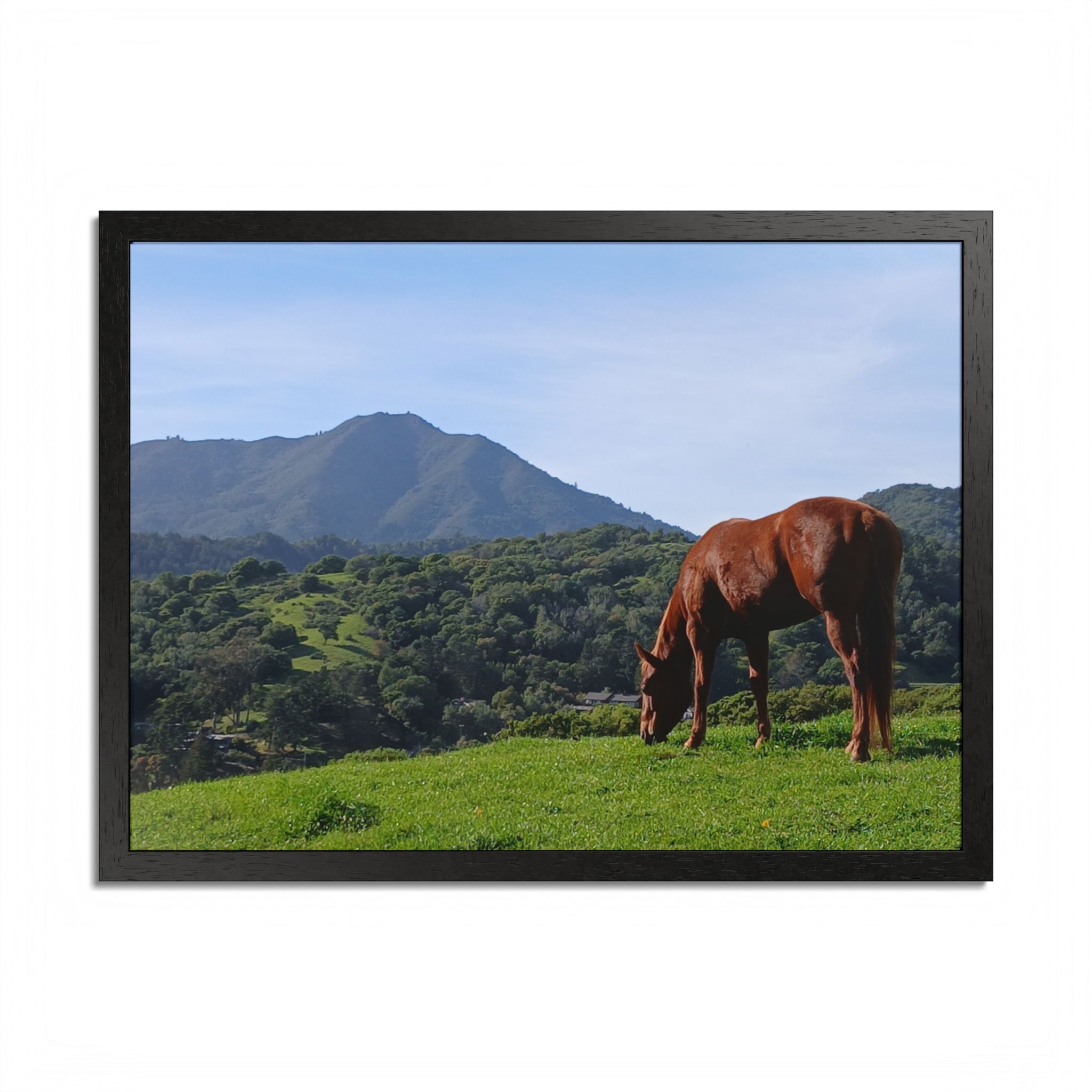 Horse Hill 2 Mill Valley California - select finish - Made in USA - PFY - Image 9