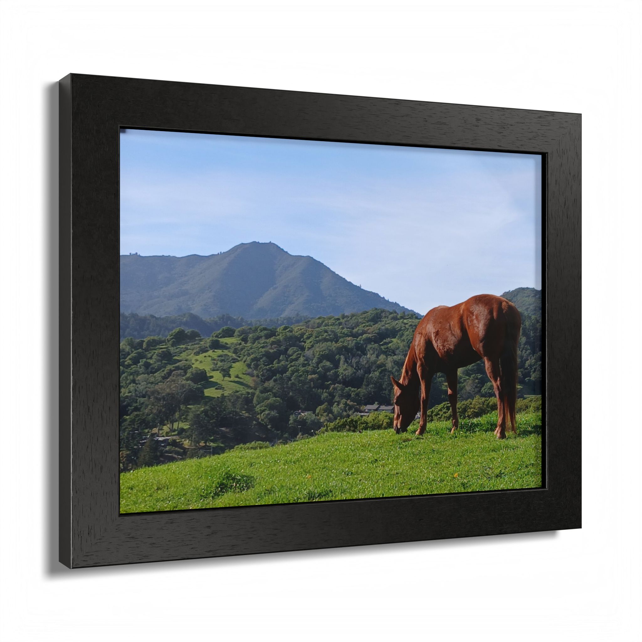 Horse Hill 2 Mill Valley California - select finish - Made in USA - PFY - Image 17