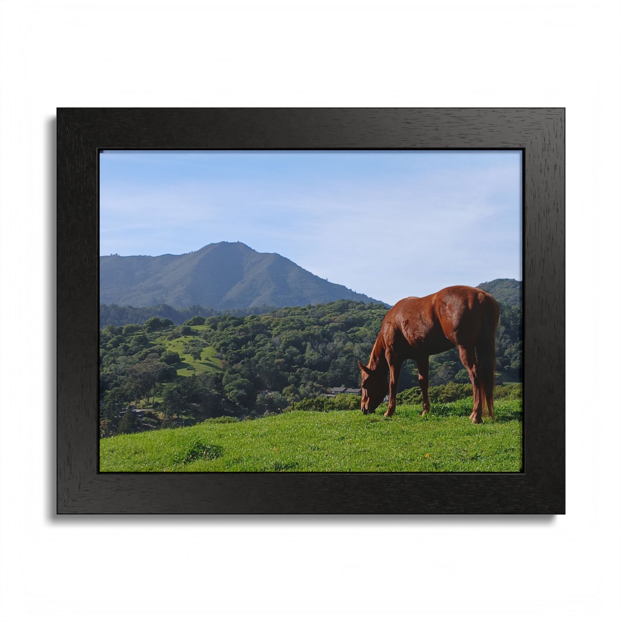 Horse Hill 2 Mill Valley California - select finish - Made in USA - PFY - Image 16