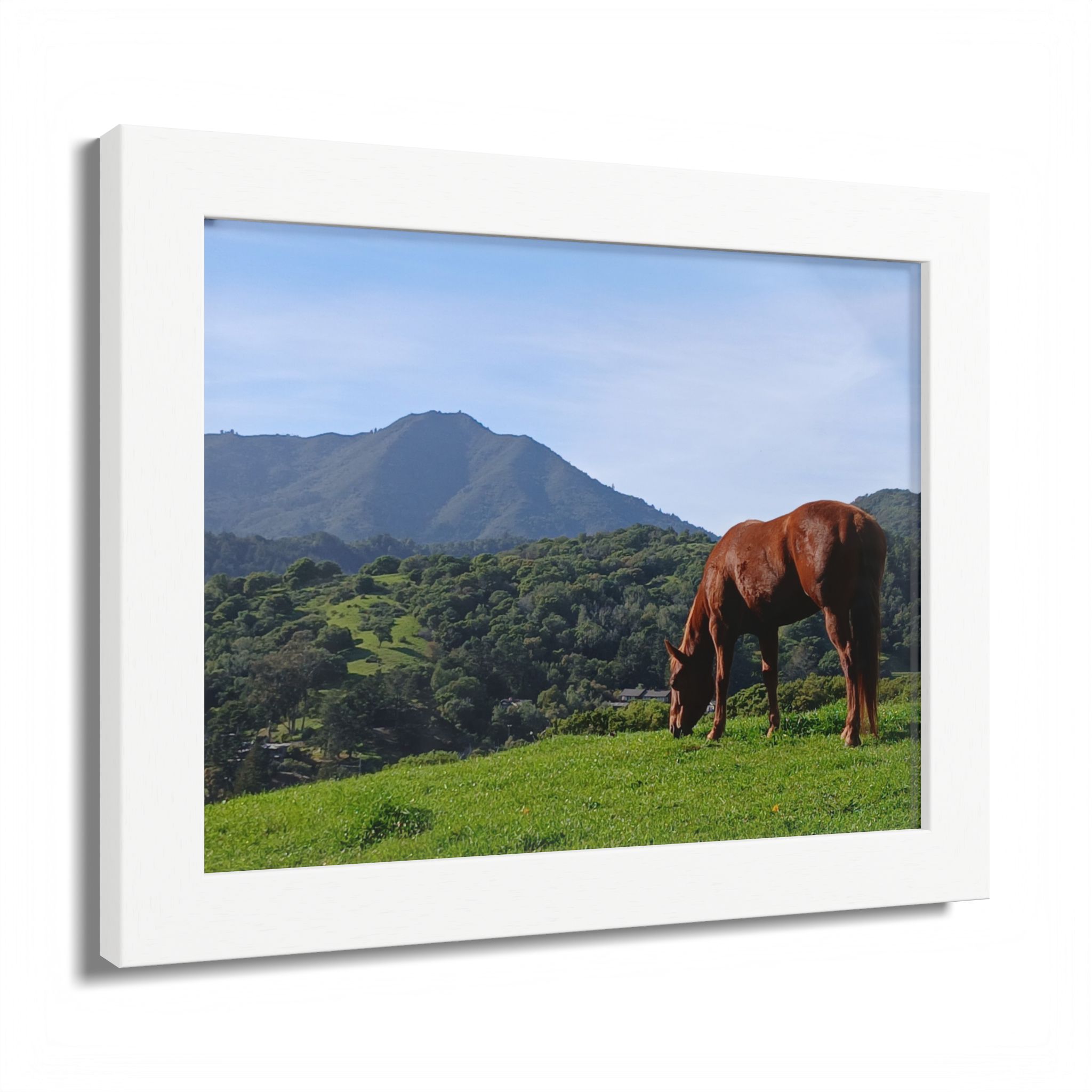 Horse Hill 2 Mill Valley California - select finish - Made in USA - PFY - Image 14