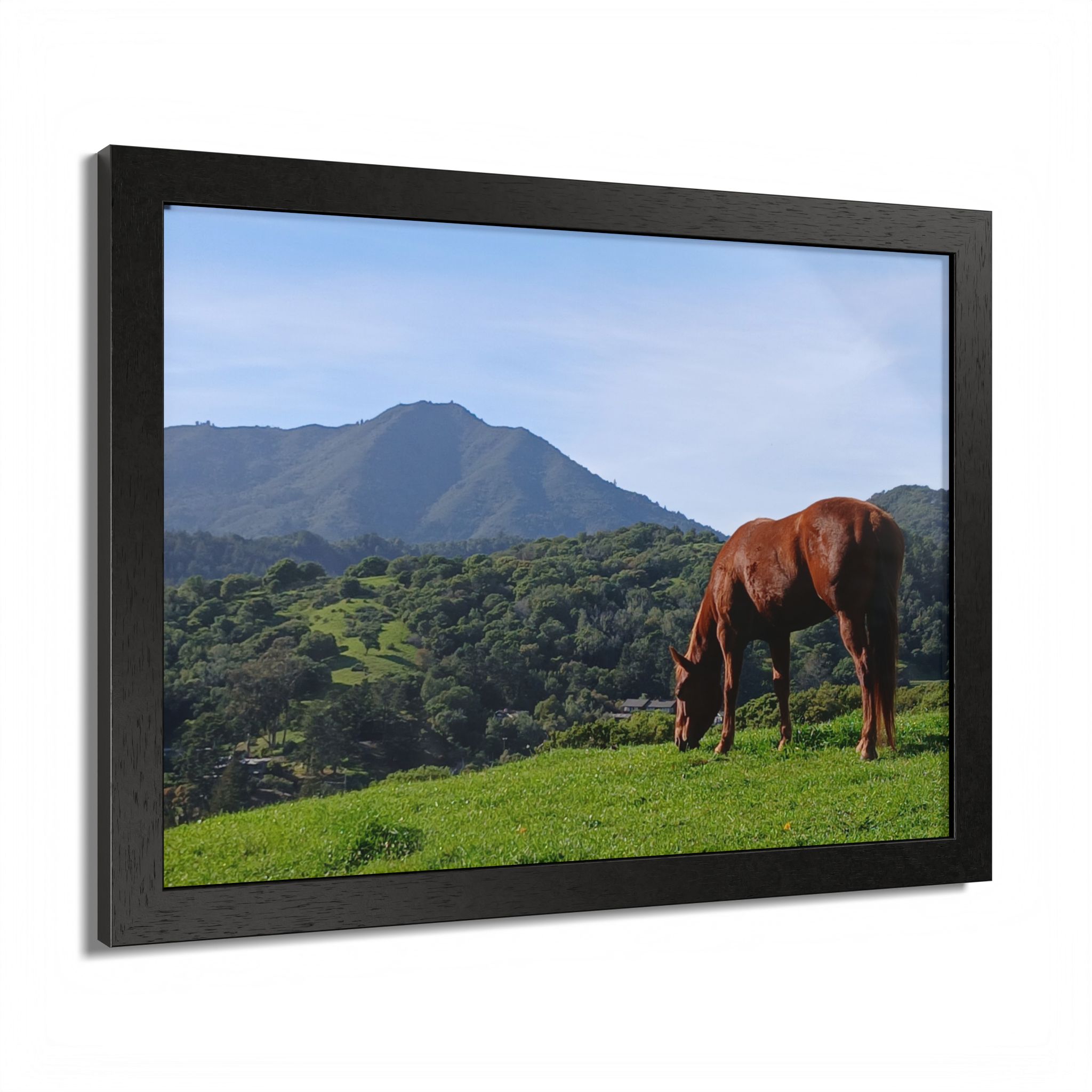 Horse Hill 2 Mill Valley California - select finish - Made in USA - PFY - Image 6