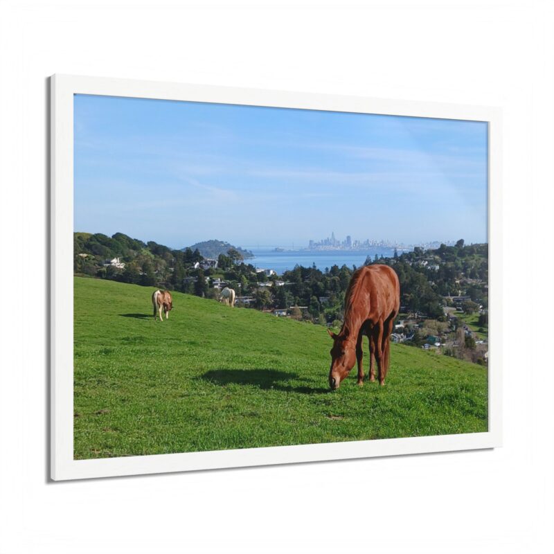 Horse Hill Mill Valley San Francisco California Skyline (3) - select finish - Made in USA - PFY