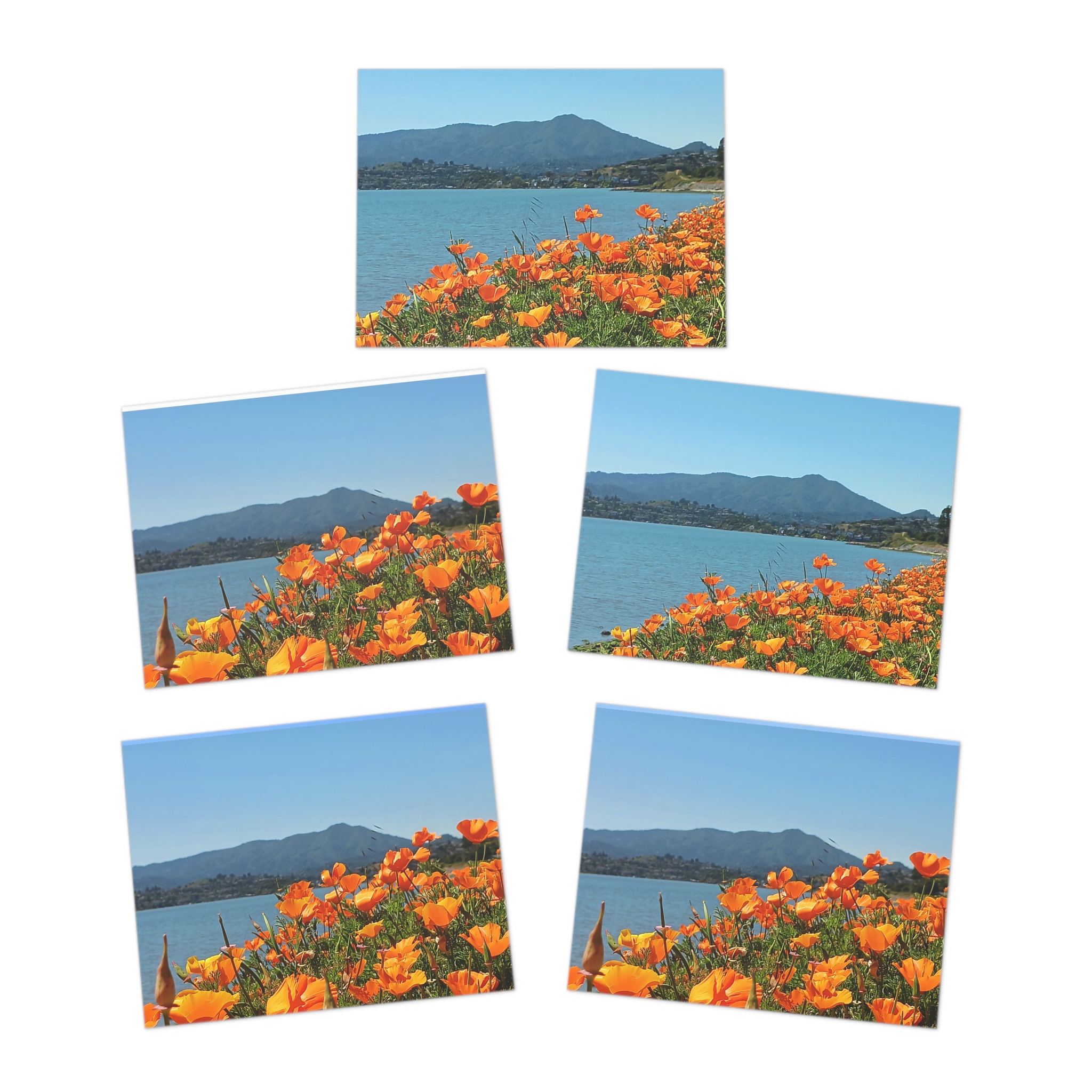 Mt Tamalpais California - Greeting Cards 5‑Pack horiz - Made in USA - Image 2